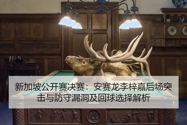 xin-jia-po-gong-kai-sai-jue-sai-an-sai-long-li-zi-jia-hou-chang-tu-ji-yu-fang-shou-lou-dong-ji-hui-qiu-xuan-ze-jie-xi-2-375.jpg