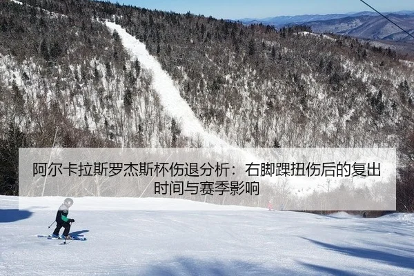 a-er-ka-la-si-luo-jie-si-bei-shang-tui-fen-xi-you-jiao-huai-niu-shang-hou-de-fu-chu-shi-jian-yu-sai-ji-ying-xiang-3-646.jpg